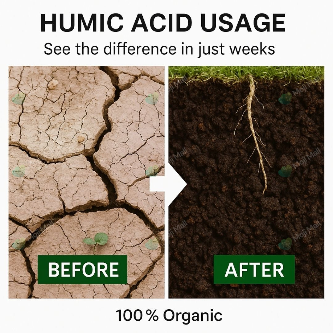 Humic acid Powder (imported) – Water Soluble-Moji Mall