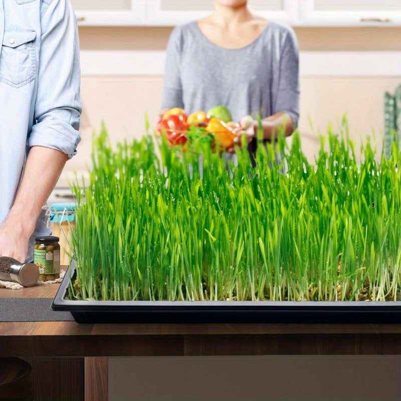 Hydroponic tray