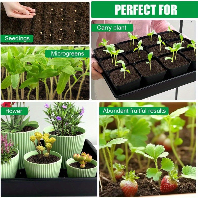 Hydroponic tray