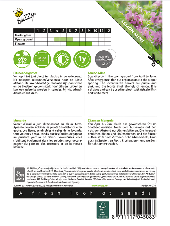 Lemon Mint – Seeds (Imported - Limited Stock)