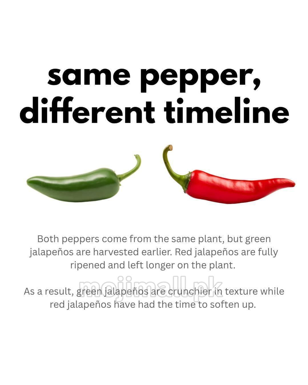 Jalapeno Pepper – 15 Seeds-Moji Mall