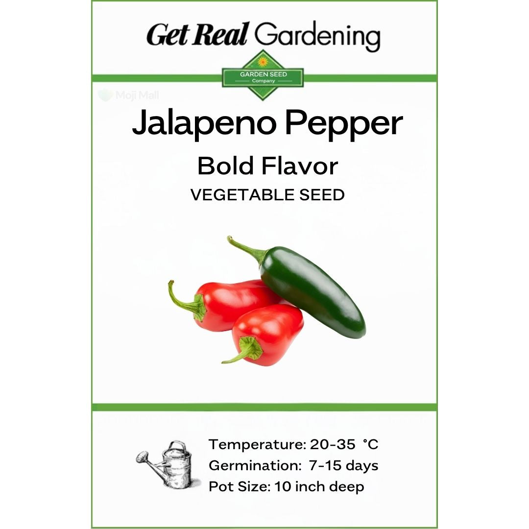 Jalapeno Pepper – 15 Seeds