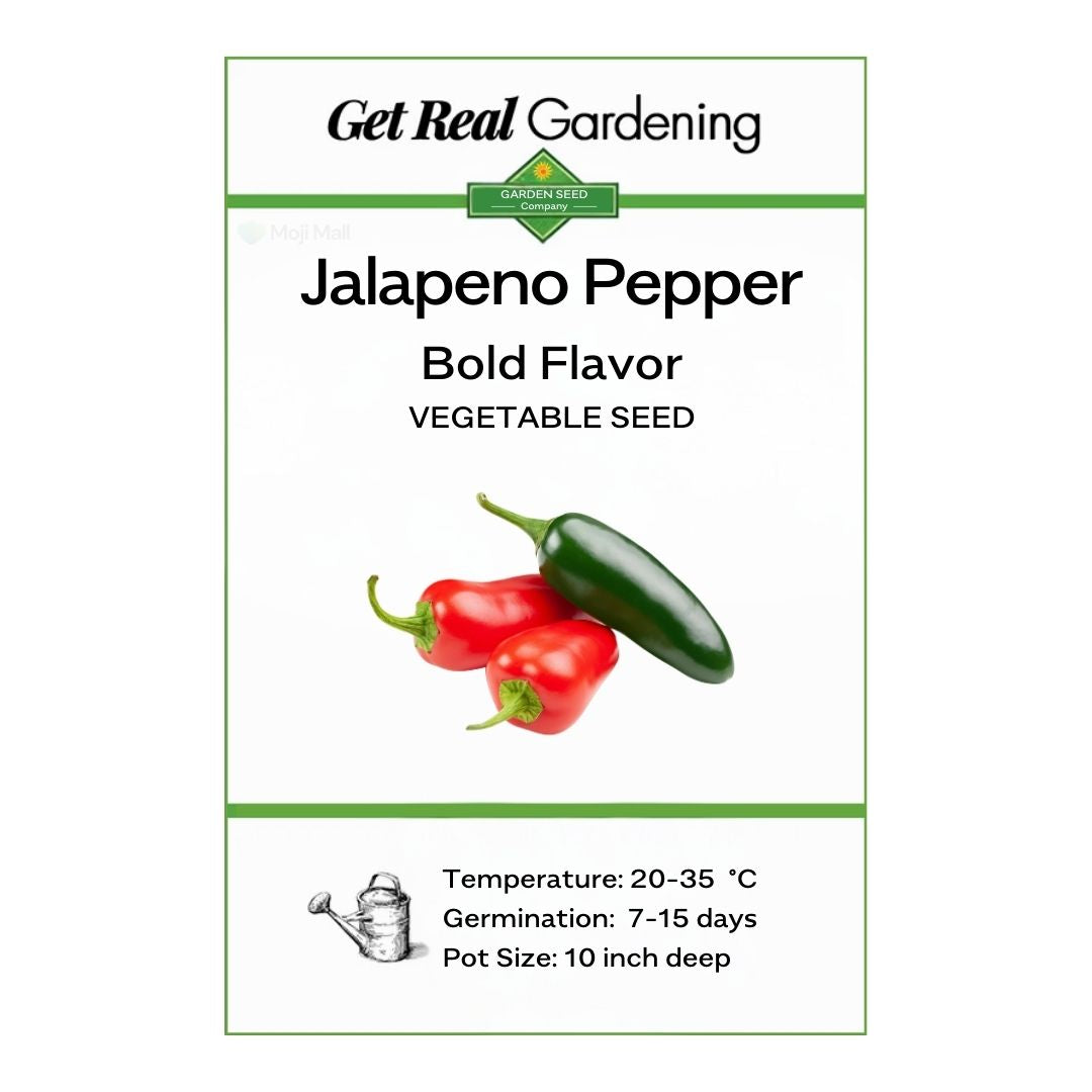 Jalapeno Pepper – 15 Seeds