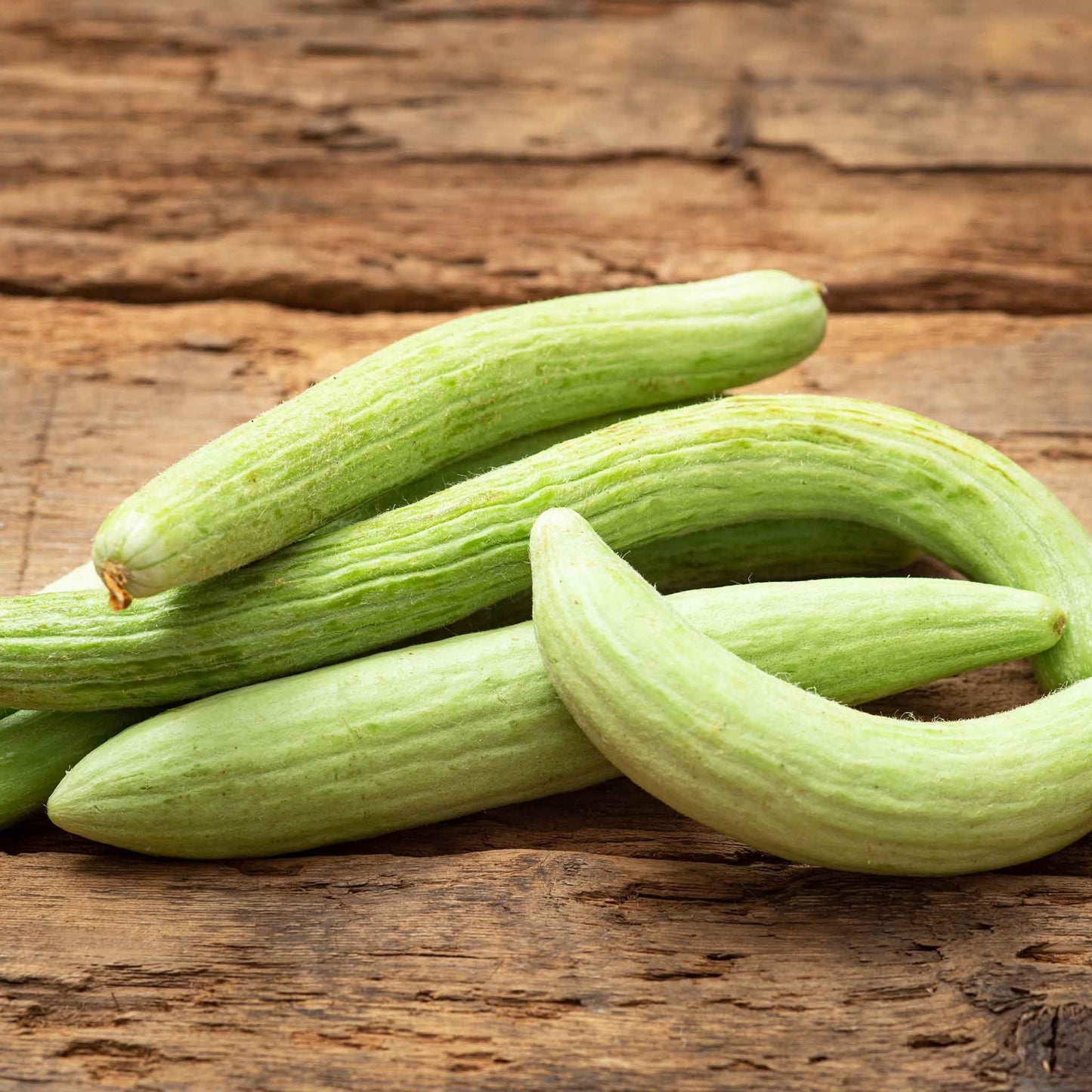 Fresh Kakri cucumbers grown from high-quality seeds at Mojimall, offering a crisp, refreshing flavor perfect for healthy meals.