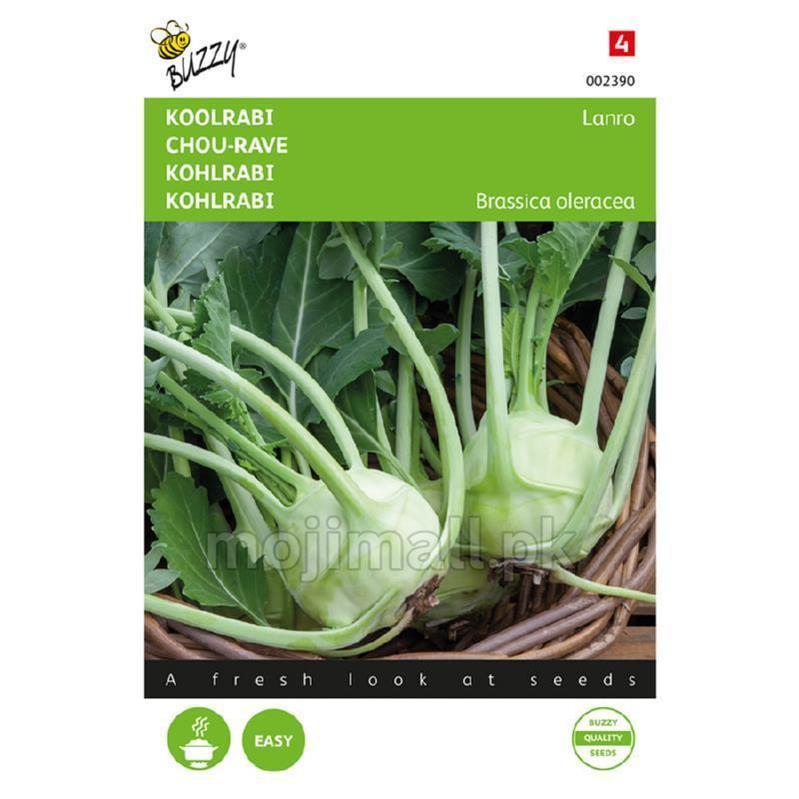 Kohlrabi Green – Buzzy Seeds (Imported - Limited Stock)-Moji Mall