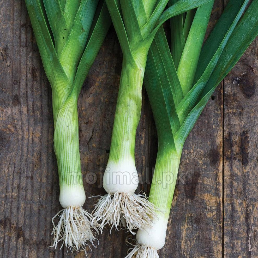 Leek – 35+ Seeds-Moji Mall