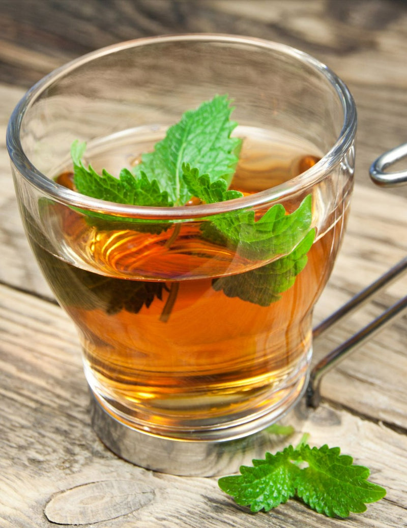 Lemon Balm – Royal Seeds