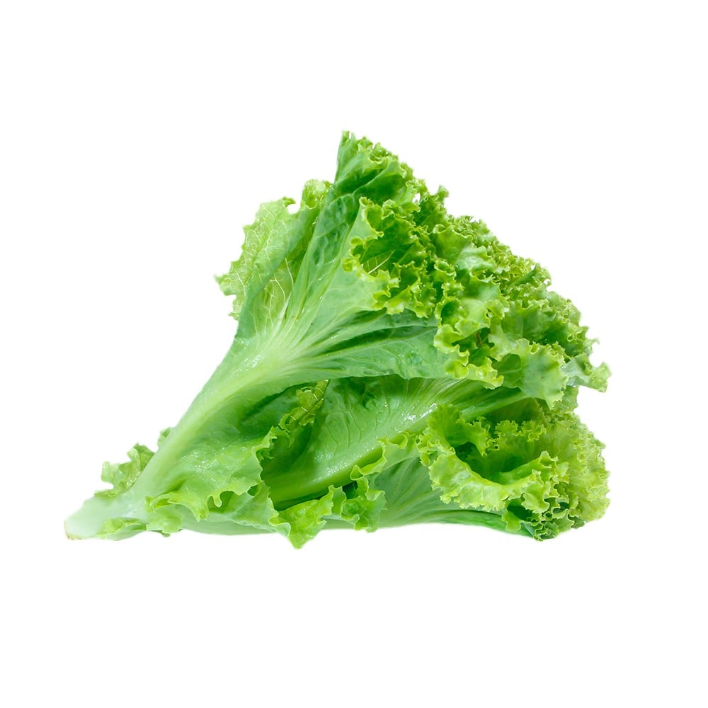Lettuce (سلاد پتہ) Green 250+ Seeds