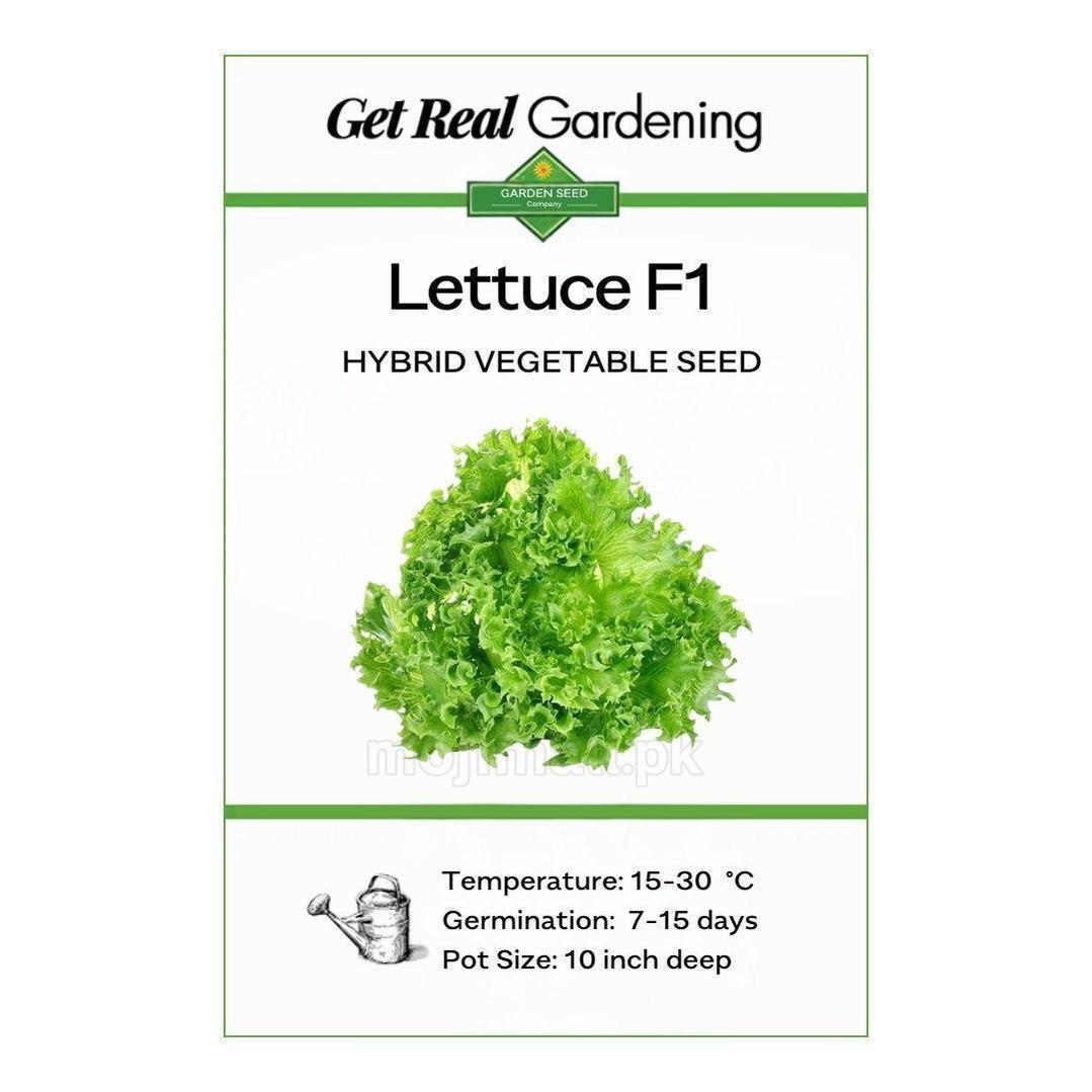 Lettuce Green – F1 Hybrid 200+ Seeds-Moji Mall