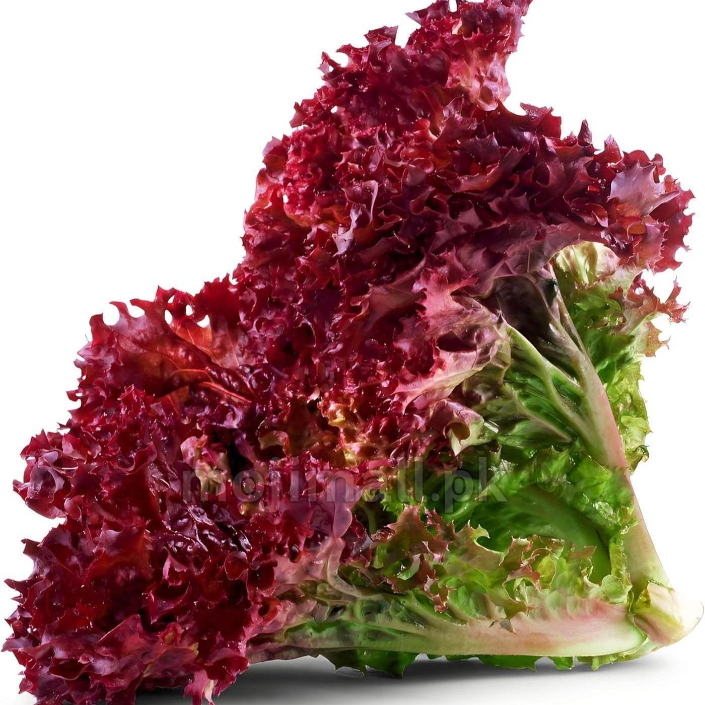 Lettuce Red – 100+ Seeds-Moji Mall