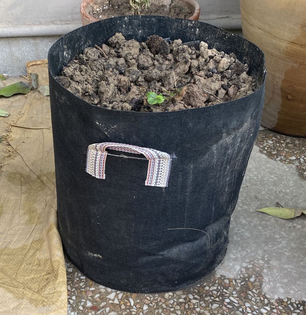 Deal of 3 Grow Bags (10x11 INCHES)
