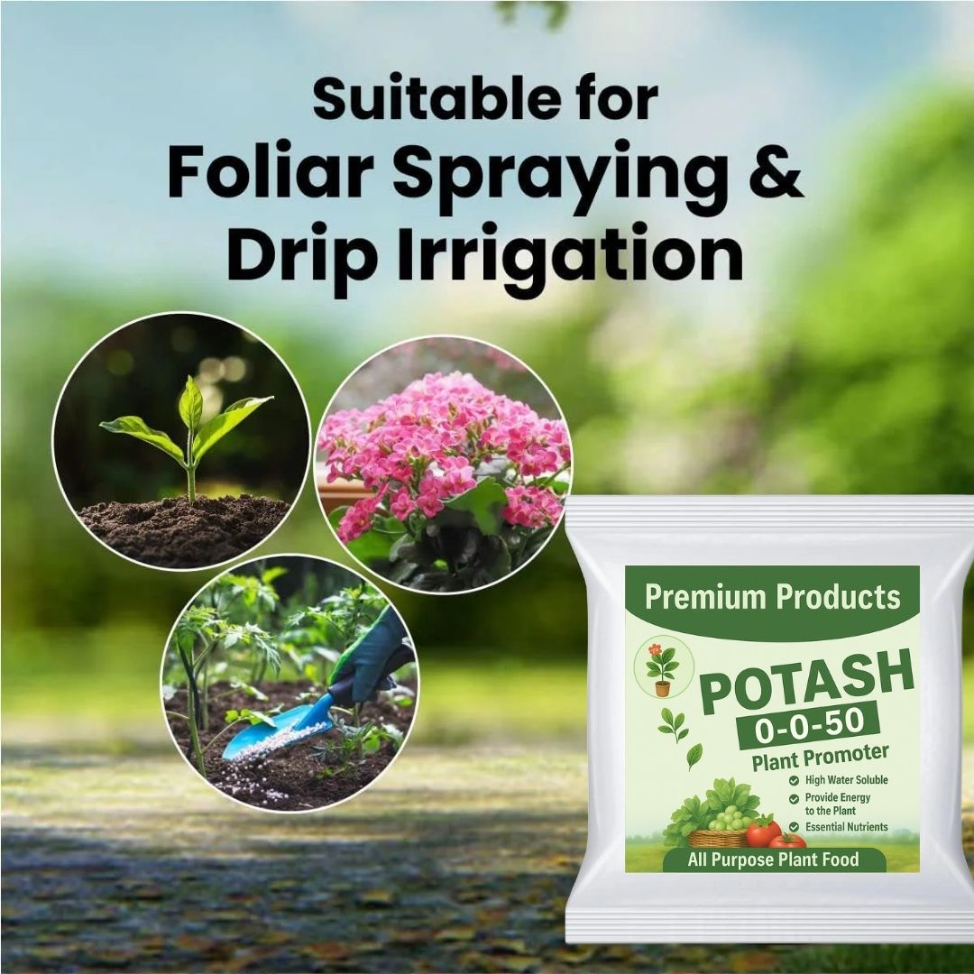 Potash Fertilizer (SOP)