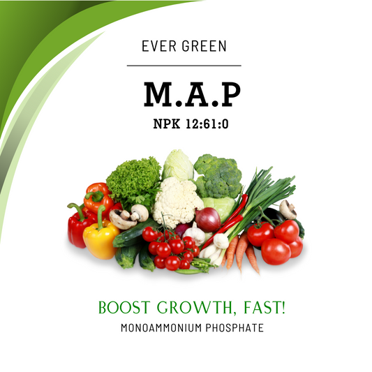 M.A.P. (12-61-0) Fertilizer – Imported
