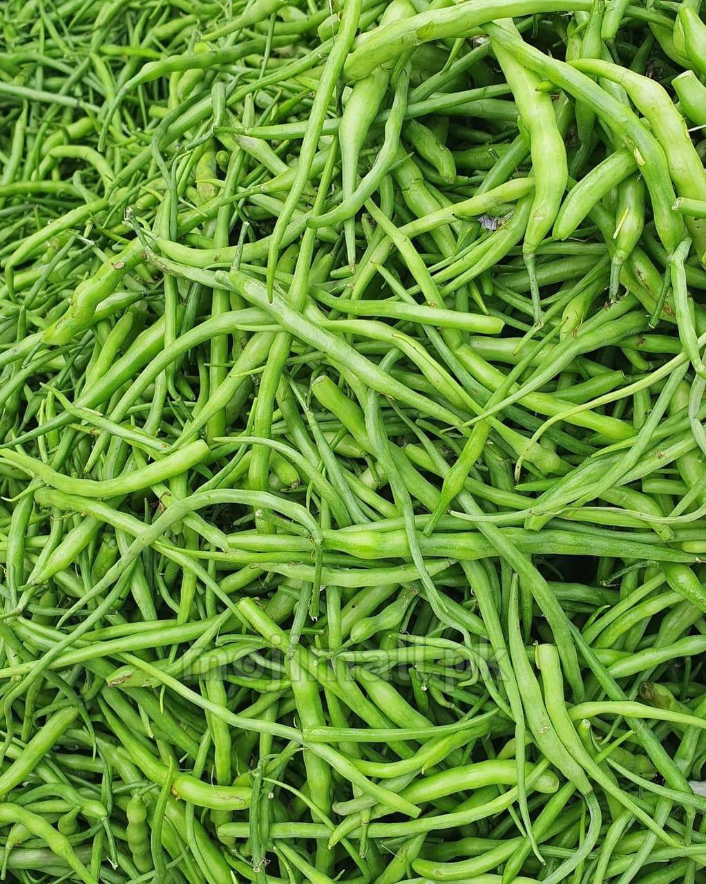 Moongray (دیسی مونگرے کے بیج) – 70+ Seeds-Moji Mall