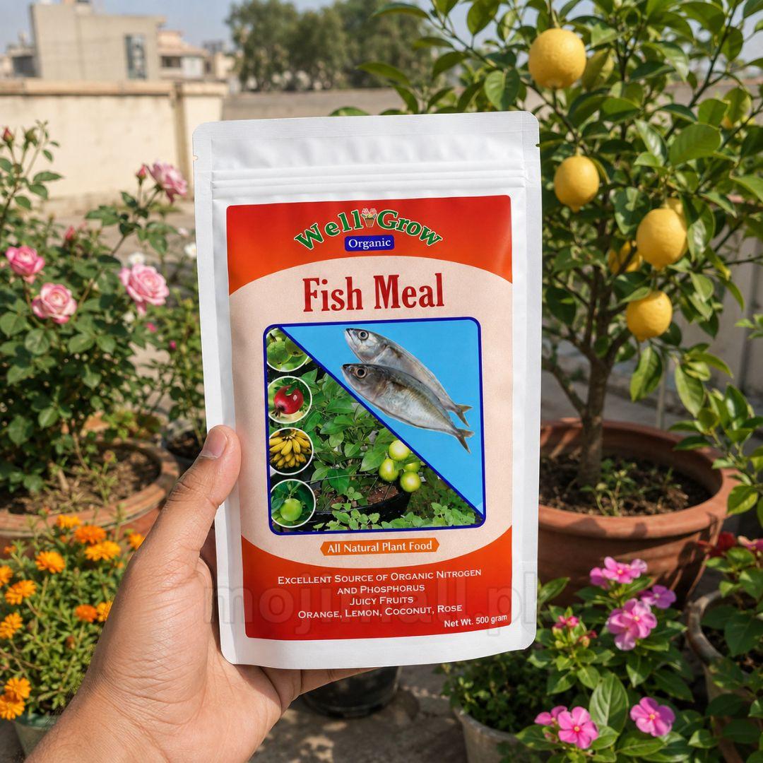 Fish meal – Organic Fertilizer