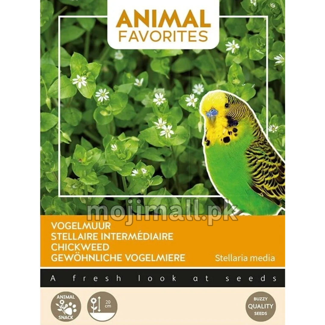 Chickweed Seeds for Pet Birds – Animal Favorites