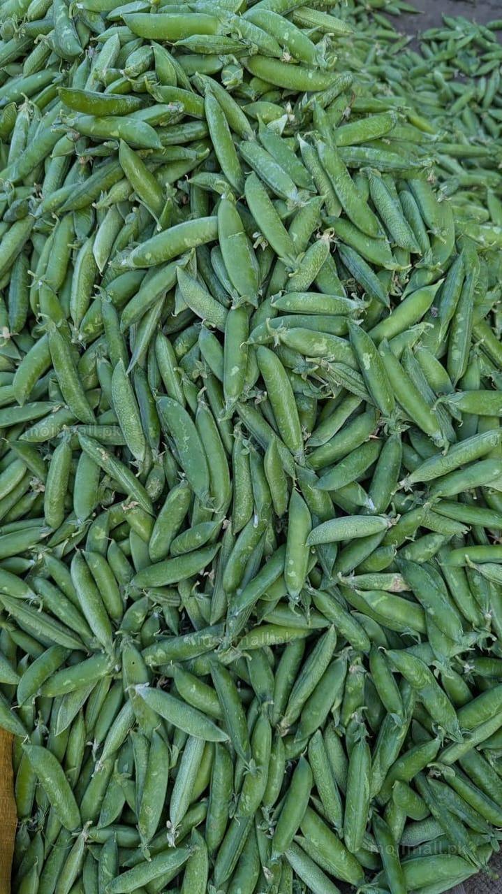 Pea – F1 Hybrid 15+ Seeds-Moji Mall