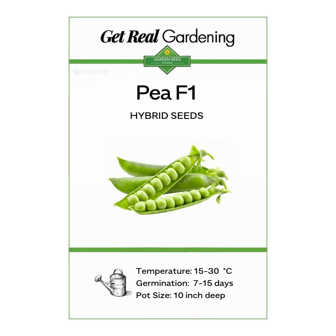 Pea – F1 Hybrid 15+ Seeds
