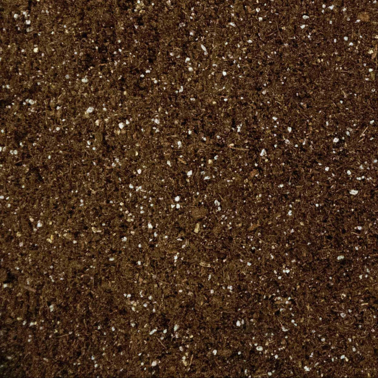 Peat Moss (Perlite Mixed) Imported