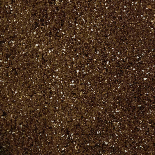 Peat Moss (Perlite Mixed)  Imported