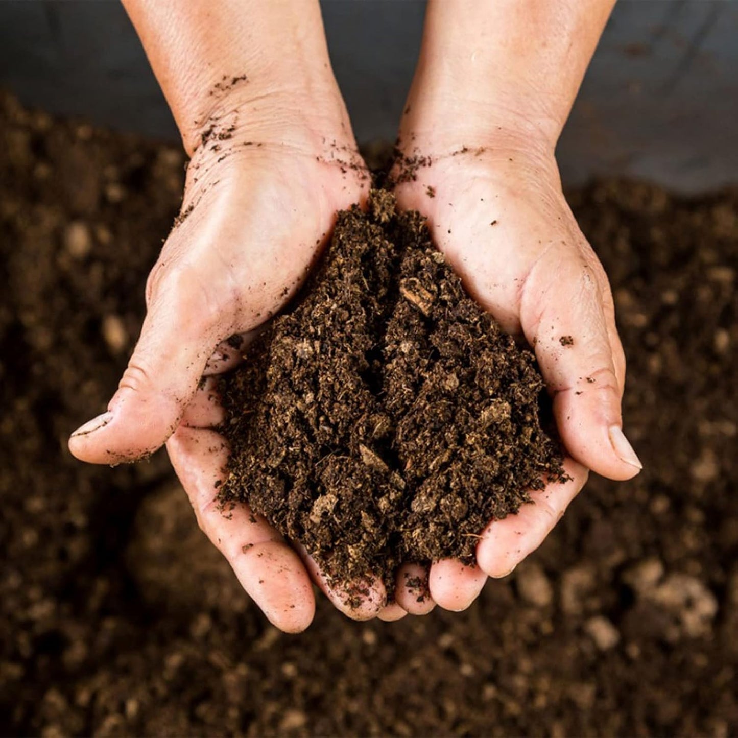 Peat Moss (imported)