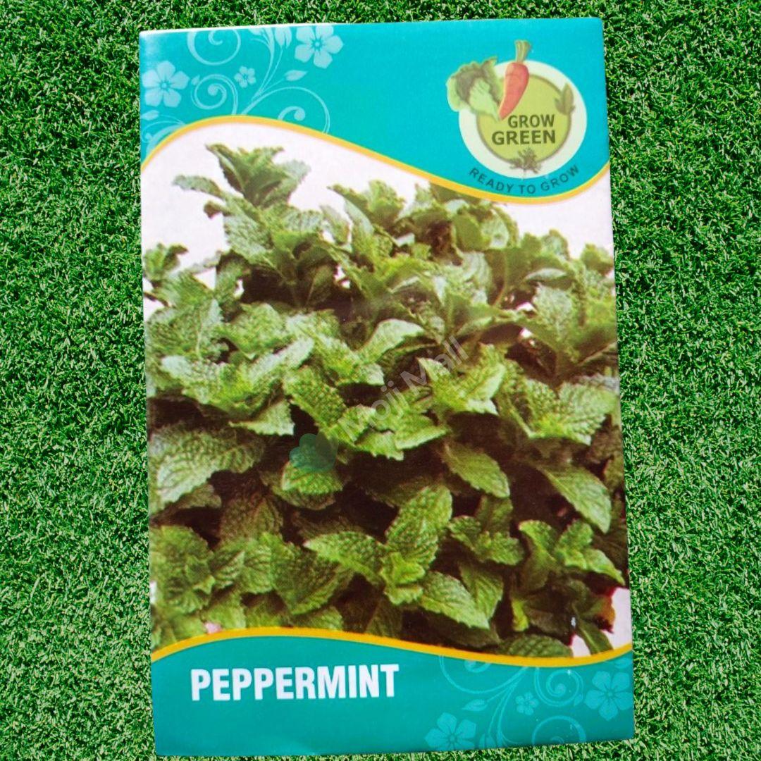 Mint (Peppermint) – 150+ Seeds-Moji Mall