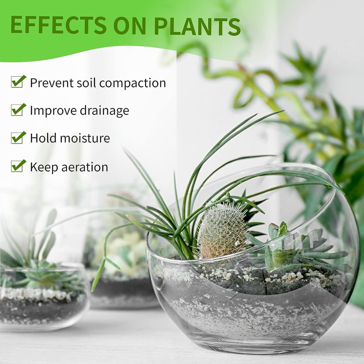 Perlite for gardening Moji Mall
