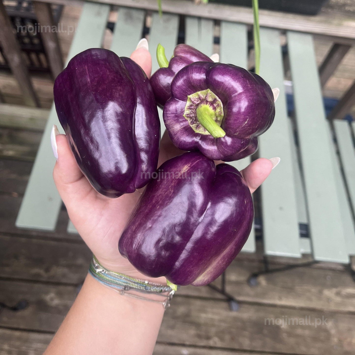 Capsicum Purple – F1 Hybrid 10 Seeds-Moji Mall