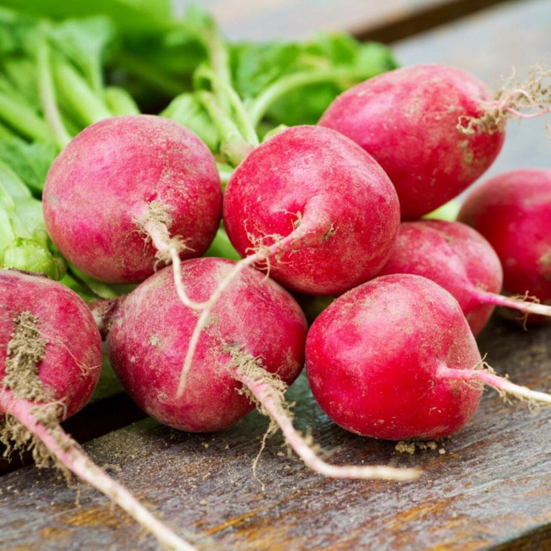 Radish (Red Round) – 40+ Seeds