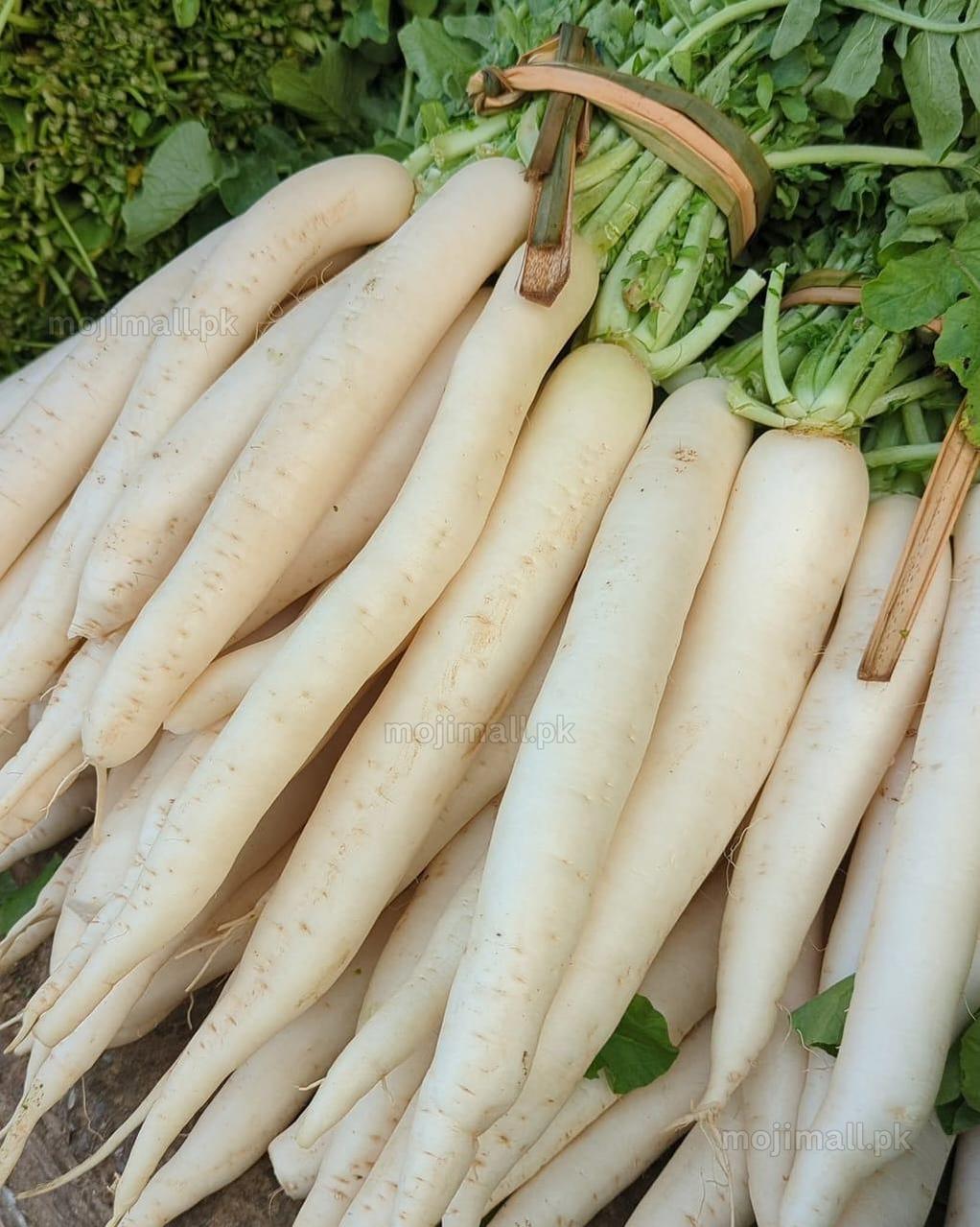 Radish White – F1 Hybrid 70+ Seeds-Moji Mall