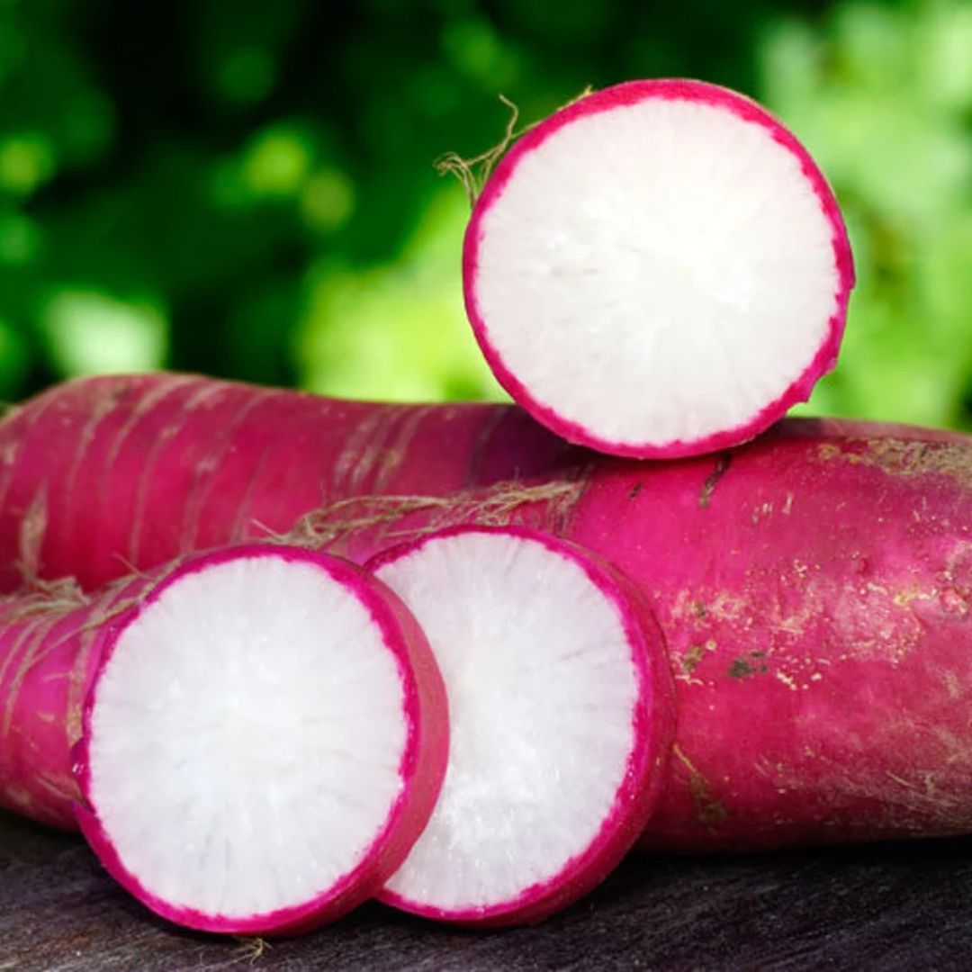 Radish (Red Long) 40+ Seeds