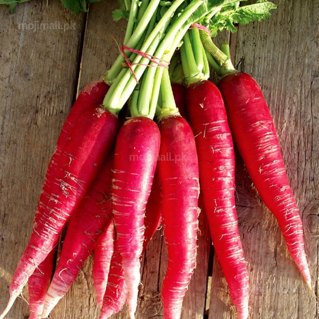 Radish (Red Long) 40+ Seeds-Moji Mall