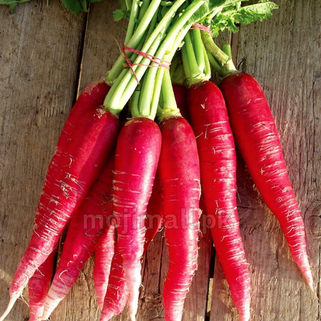 Radish (Red Long) 40+ Seeds-Moji Mall