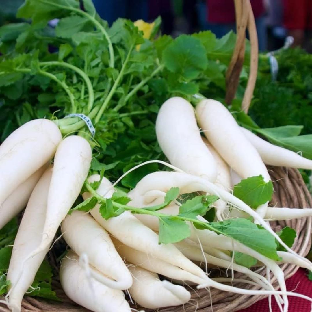 Radish White (دیسی مولی) 100+ Seeds