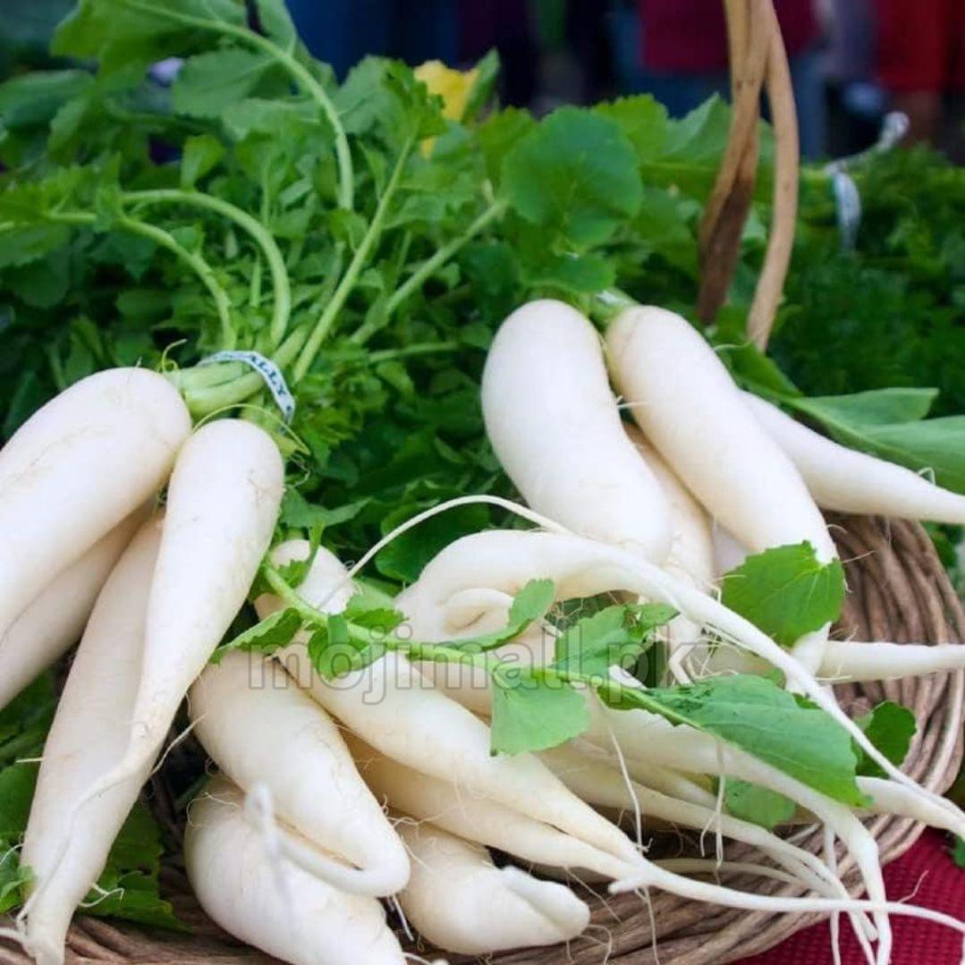 Radish White (دیسی مولی کے بیج) – 100+ Seeds-Moji Mall