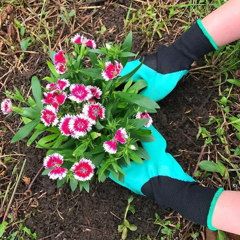 Garden Gloves – Clawed Gloves for Digging, Weeding & Planting