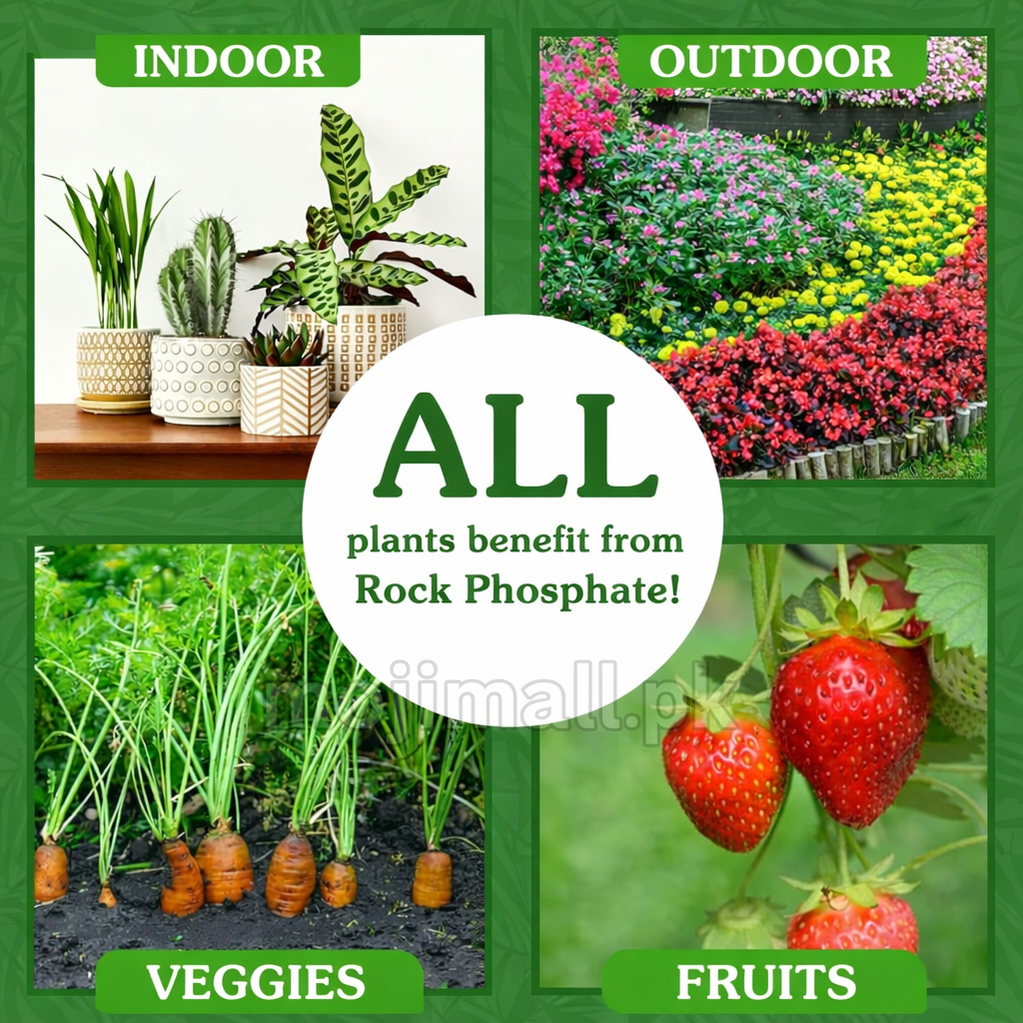 Rock Phosphate Crushed - Organic Fertilizer-Moji Mall