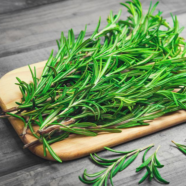 Rosemary (اکلیل کوہستانی) 15+ Seeds