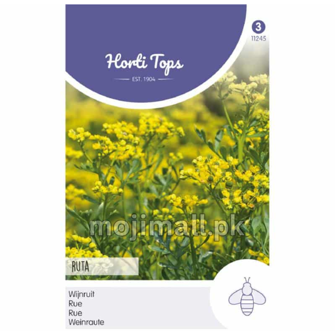 Ruta Rue Herb – Horti tops Seeds (Imported - Limited Stock)