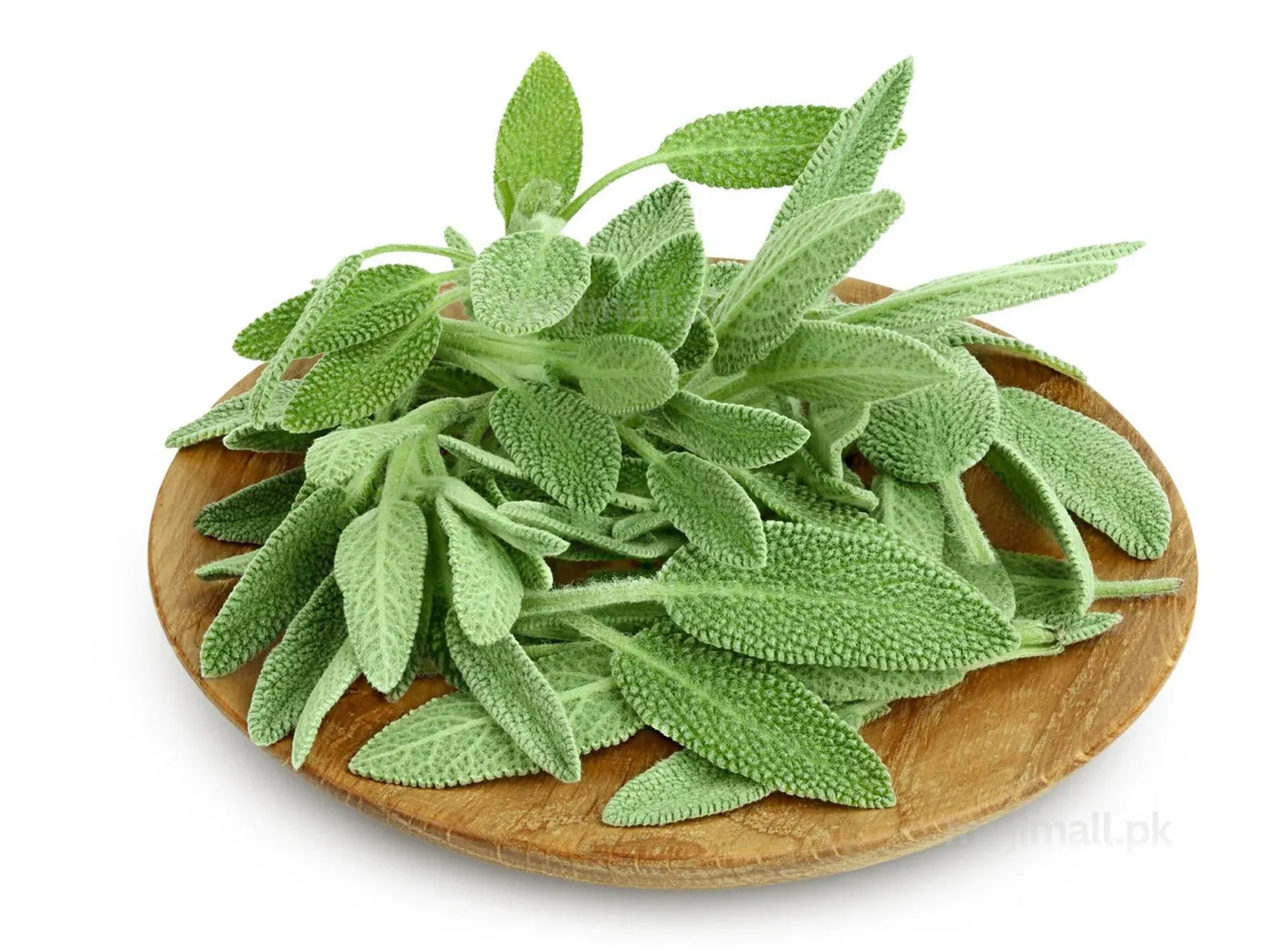 Sage – 12 Seeds-Moji Mall