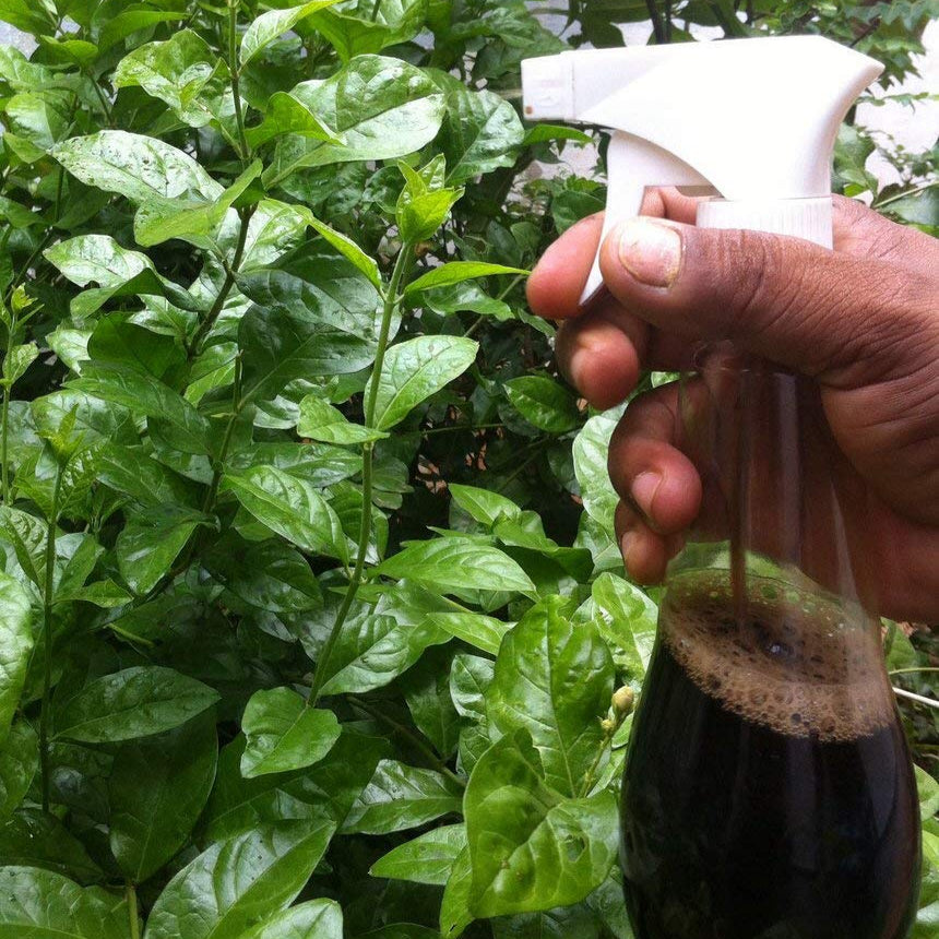 seaweed liquid fertilizer moji mall pakistan