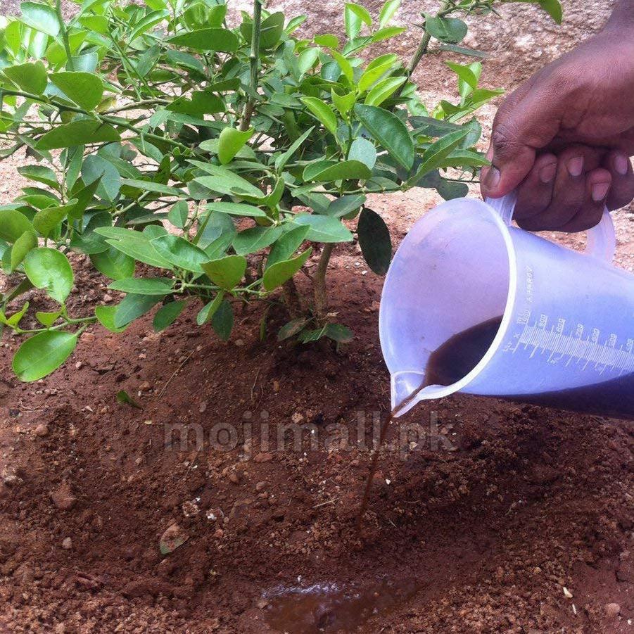 seaweed liquid fertilizer moji mall pakistan