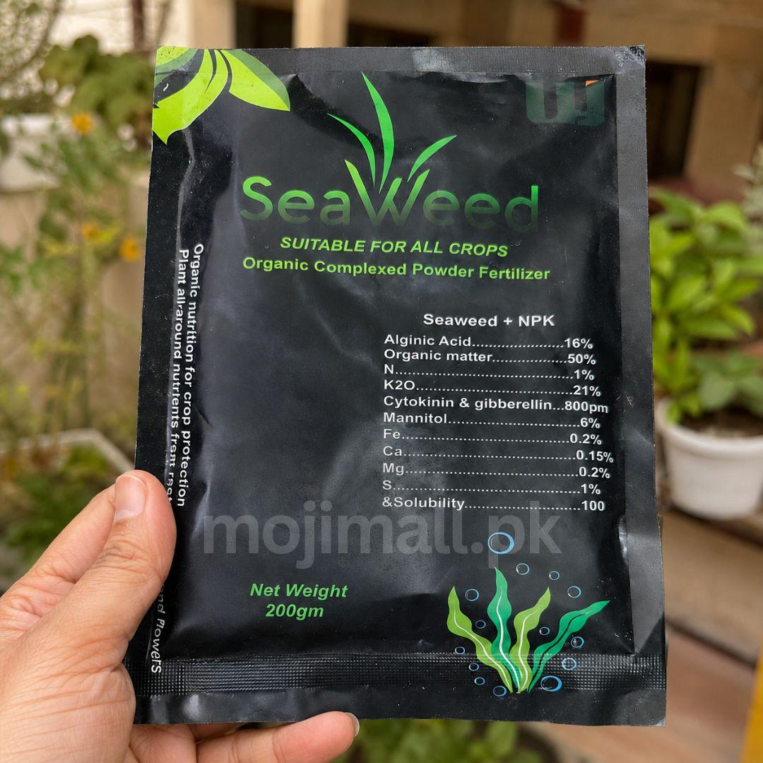 Seaweed Powder – 200g