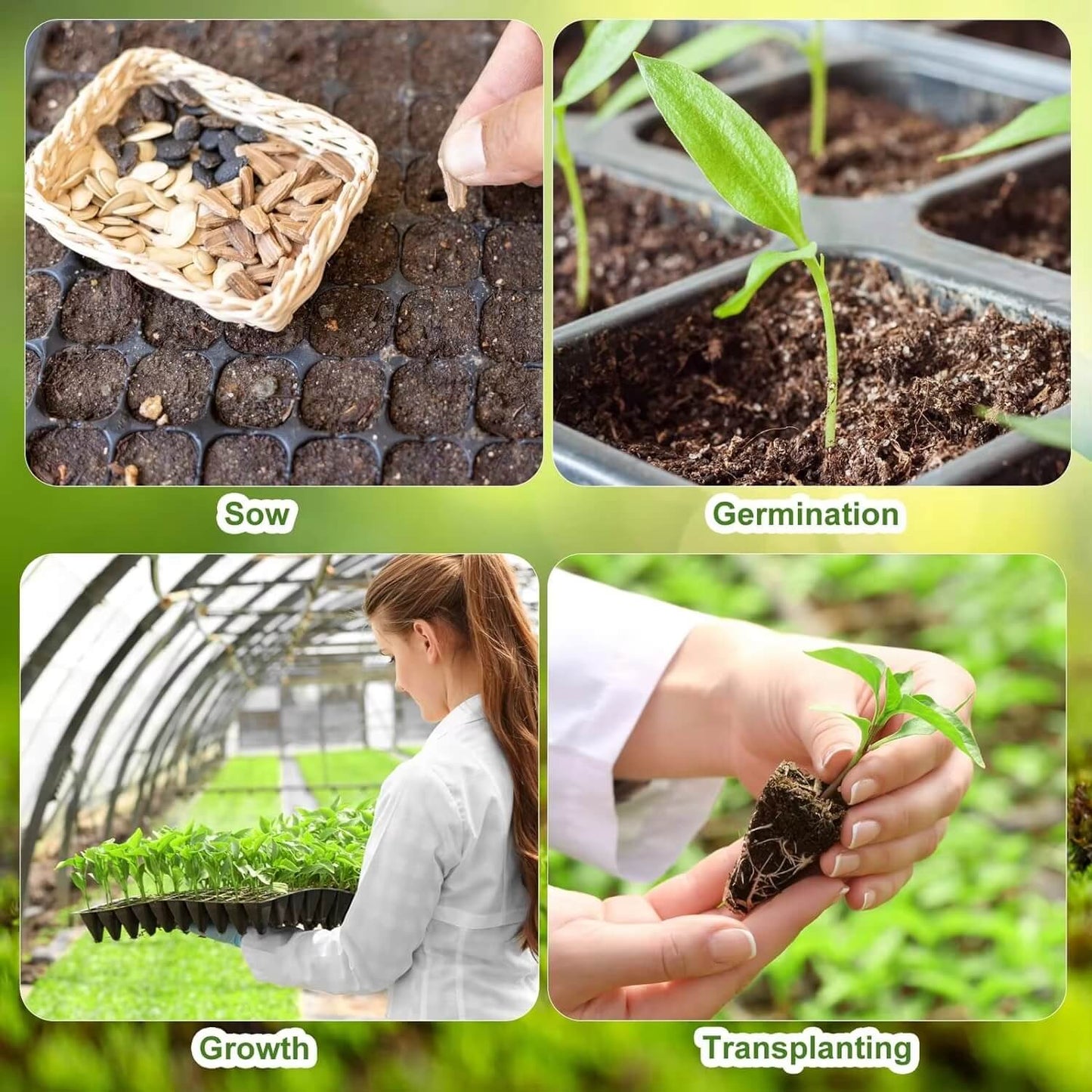 Seedling Tray - 128 Holes