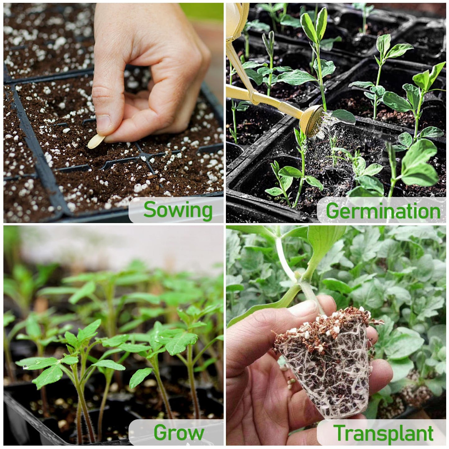 Seed Growing (Soilless Seed Starter) Mix