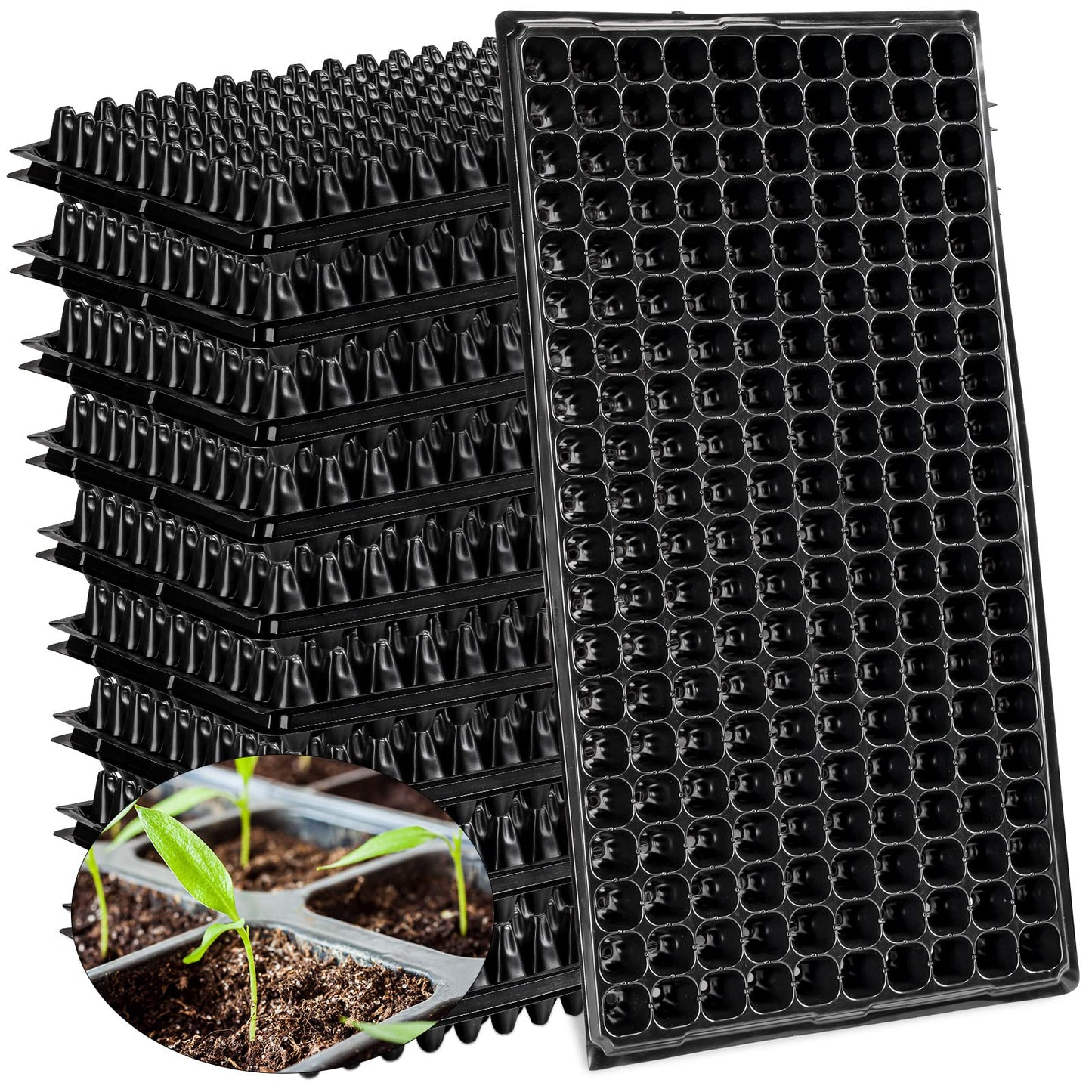 Pack of 10 Seedling Tray – 200 Holes