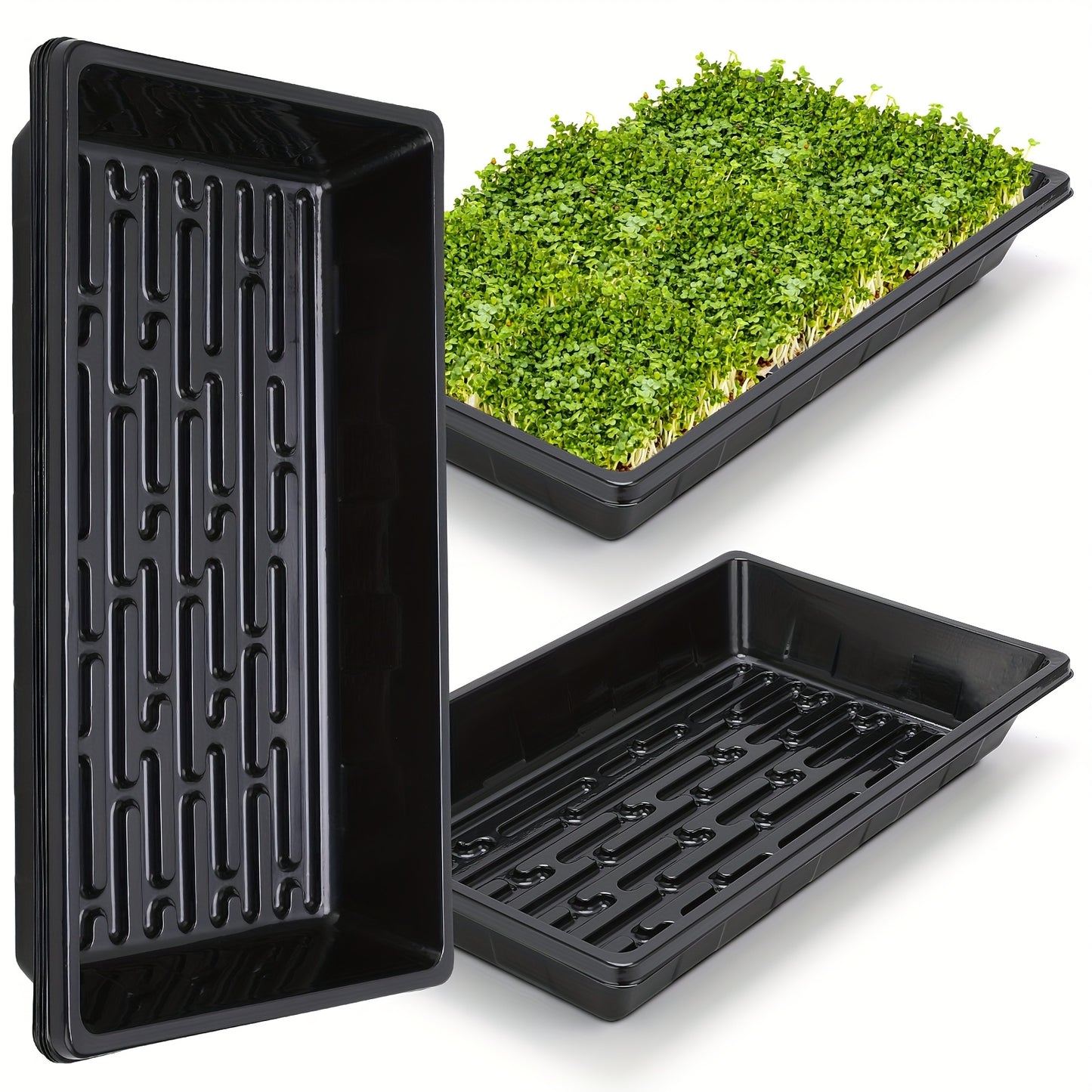 Hydroponic tray