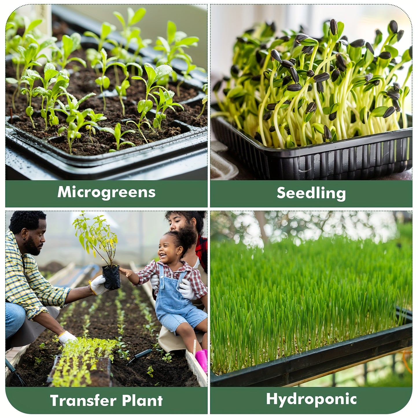 Hydroponic tray