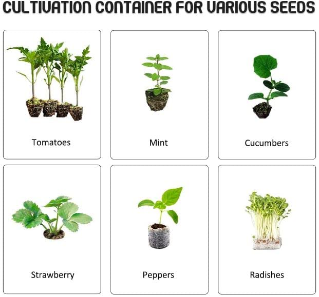 Pack of 10 Seedling Tray – 128 Holes