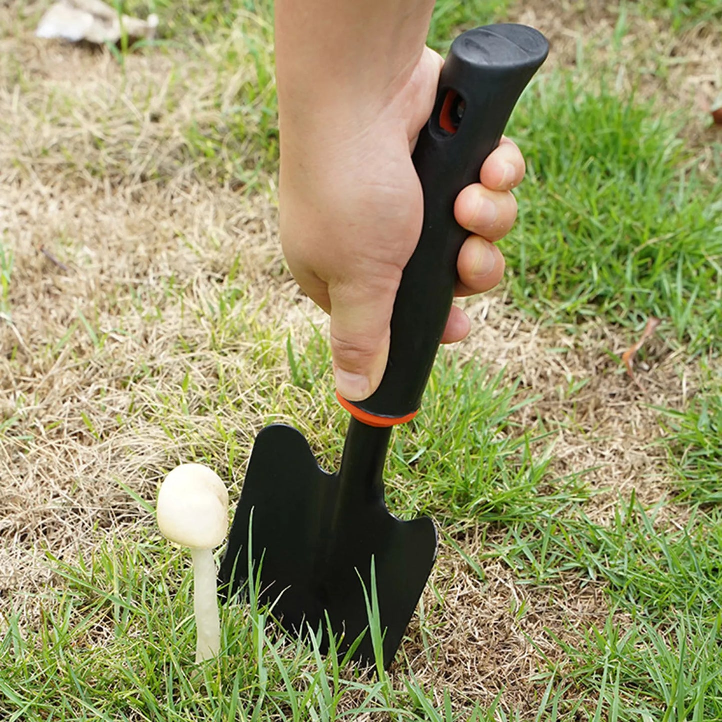 Shovels Set – Pack of 3 (Heavy Duty)